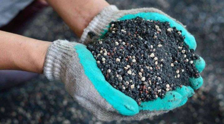 Π² ΠΊΠ°ΠΊΡΡ Π·Π΅ΠΌΠ»Ρ ΡΠ°ΠΆΠ°ΡΡ ΡΡΠ°Π΄Π΅ΡΠΊΠ°Π½ΡΠΈΡ. Π‘ΠΌΠΎΡΡΠ΅ΡΡ ΡΠΎΡΠΎ Π² ΠΊΠ°ΠΊΡΡ Π·Π΅ΠΌΠ»Ρ ΡΠ°ΠΆΠ°ΡΡ ΡΡΠ°Π΄Π΅ΡΠΊΠ°Π½ΡΠΈΡ. Π‘ΠΌΠΎΡΡΠ΅ΡΡ ΠΊΠ°ΡΡΠΈΠ½ΠΊΡ Π² ΠΊΠ°ΠΊΡΡ Π·Π΅ΠΌΠ»Ρ ΡΠ°ΠΆΠ°ΡΡ ΡΡΠ°Π΄Π΅ΡΠΊΠ°Π½ΡΠΈΡ. ΠΠ°ΡΡΠΈΠ½ΠΊΠ° ΠΏΡΠΎ Π² ΠΊΠ°ΠΊΡΡ Π·Π΅ΠΌΠ»Ρ ΡΠ°ΠΆΠ°ΡΡ ΡΡΠ°Π΄Π΅ΡΠΊΠ°Π½ΡΠΈΡ. Π€ΠΎΡΠΎ Π² ΠΊΠ°ΠΊΡΡ Π·Π΅ΠΌΠ»Ρ ΡΠ°ΠΆΠ°ΡΡ ΡΡΠ°Π΄Π΅ΡΠΊΠ°Π½ΡΠΈΡ Π² ΠΊΠ°ΠΊΡΡ Π·Π΅ΠΌΠ»Ρ ΡΠ°ΠΆΠ°ΡΡ ΡΡΠ°Π΄Π΅ΡΠΊΠ°Π½ΡΠΈΡ. Π‘ΠΌΠΎΡΡΠ΅ΡΡ ΡΠΎΡΠΎ Π² ΠΊΠ°ΠΊΡΡ Π·Π΅ΠΌΠ»Ρ ΡΠ°ΠΆΠ°ΡΡ ΡΡΠ°Π΄Π΅ΡΠΊΠ°Π½ΡΠΈΡ. Π‘ΠΌΠΎΡΡΠ΅ΡΡ ΠΊΠ°ΡΡΠΈΠ½ΠΊΡ Π² ΠΊΠ°ΠΊΡΡ Π·Π΅ΠΌΠ»Ρ ΡΠ°ΠΆΠ°ΡΡ ΡΡΠ°Π΄Π΅ΡΠΊΠ°Π½ΡΠΈΡ. ΠΠ°ΡΡΠΈΠ½ΠΊΠ° ΠΏΡΠΎ Π² ΠΊΠ°ΠΊΡΡ Π·Π΅ΠΌΠ»Ρ ΡΠ°ΠΆΠ°ΡΡ ΡΡΠ°Π΄Π΅ΡΠΊΠ°Π½ΡΠΈΡ. Π€ΠΎΡΠΎ Π² ΠΊΠ°ΠΊΡΡ Π·Π΅ΠΌΠ»Ρ ΡΠ°ΠΆΠ°ΡΡ ΡΡΠ°Π΄Π΅ΡΠΊΠ°Π½ΡΠΈΡ