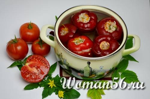 срок хранения перца фаршированного мясом в морозилке. c7b4309766585ccdcfca8b9391b9a32d. срок хранения перца фаршированного мясом в морозилке фото. срок хранения перца фаршированного мясом в морозилке-c7b4309766585ccdcfca8b9391b9a32d. картинка срок хранения перца фаршированного мясом в морозилке. картинка c7b4309766585ccdcfca8b9391b9a32d. Для хранения в морозильной камере из собранного урожая выбирают самые мясистые, плотные, здоровые плоды без повреждений, следов плесени и грибка. Стручки подбирают одинакового размера. Перцы промывают под проточной теплой водой, дают высохнуть или протирают сухим мягким полотенцем. После этого удаляют плодоножку и очищают от семян.