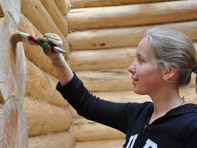 9 советов по выбору средств для защиты древесины от гниения, влаги и возгорания