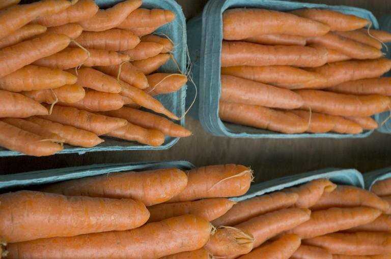 Основные правила хранения моркови