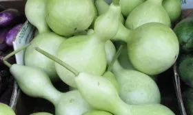 Кабачки - это популярное овощное растение, которое широко используется в кулинарии. Однако, существует несколько видов кабачков, и некоторые из них не рекомендуется употреблять в пищу. Как определить, какие кабачки безопасны для употребления, а какие лучше не использовать?