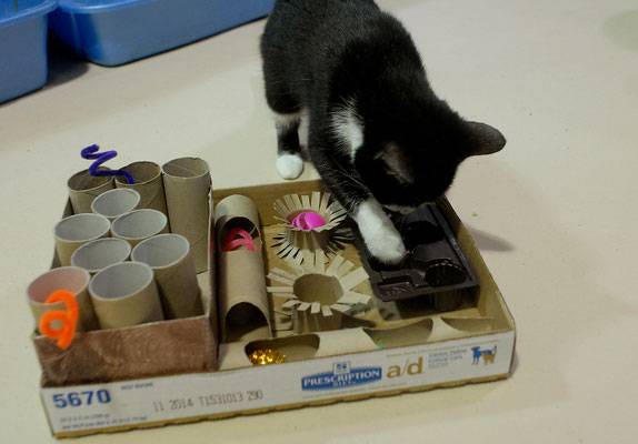 Беруши своими руками в домашних условиях