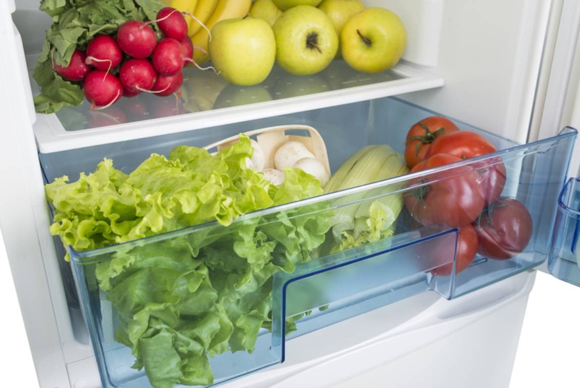 Как хранить фен в холодильнике