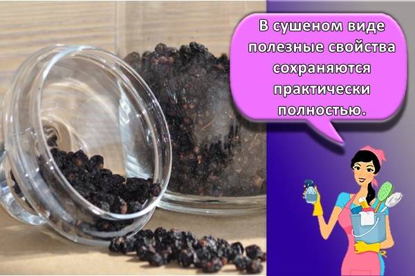 Если протертая смородина с сахаром забродила что делать. Смотреть фото Если протертая смородина с сахаром забродила что делать. Смотреть картинку Если протертая смородина с сахаром забродила что делать. Картинка про Если протертая смородина с сахаром забродила что делать. Фото Если протертая смородина с сахаром забродила что делать