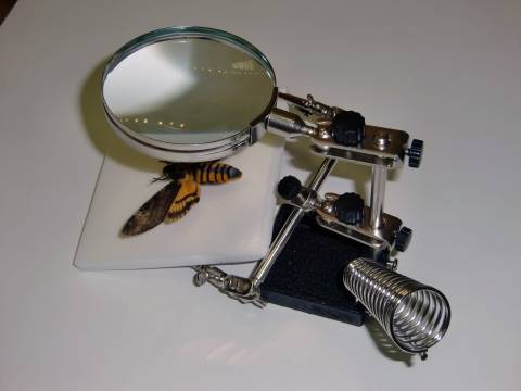 896f7a5bbcaf4b46f93372bc8a546df8 для чего нужна штативная лупа