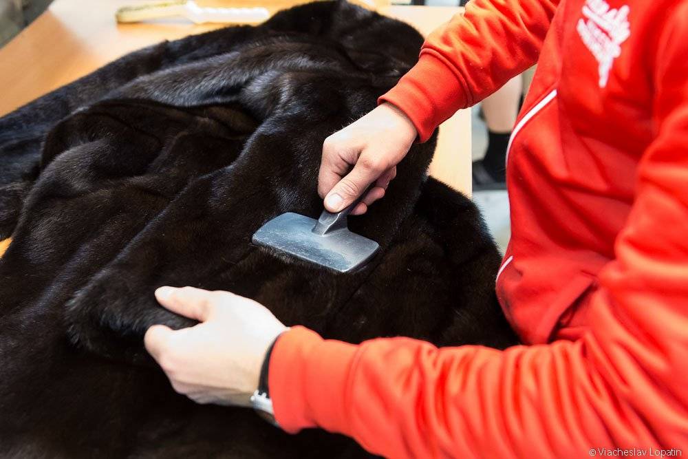 89e88e2b87d6cfb24788b5dd6b5b9d10 Можно сушить норковую шубу на солнце