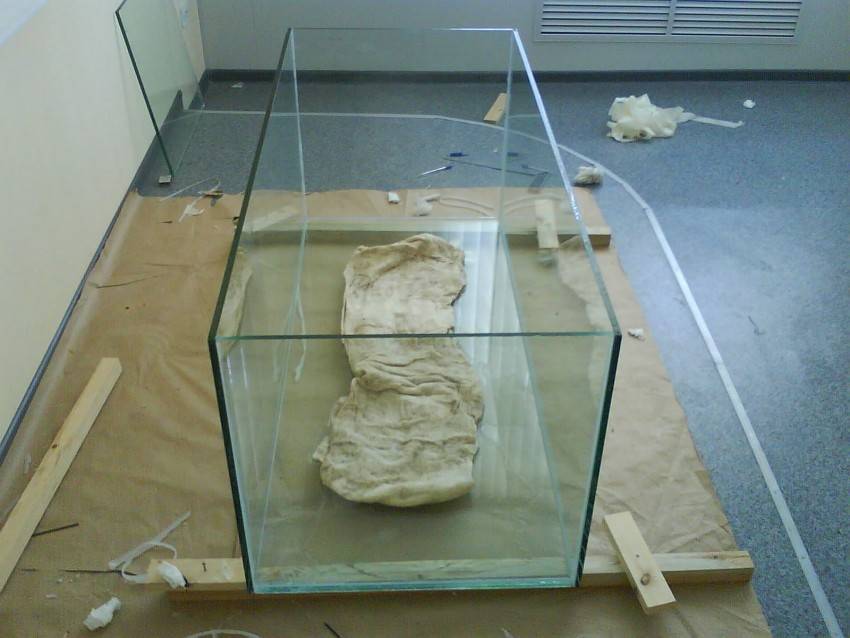 Треснуло стекло в аквариуме что делать. 8ecd6bd919ae0f9c37fdf007bc39b9e6. Треснуло стекло в аквариуме что делать фото. Треснуло стекло в аквариуме что делать-8ecd6bd919ae0f9c37fdf007bc39b9e6. картинка Треснуло стекло в аквариуме что делать. картинка 8ecd6bd919ae0f9c37fdf007bc39b9e6. Что делать, если в аквариуме появилась течь? Как правильно заклеить трещины, поменять стекло, залатать дно? Способы укрепления стенок стяжками и ребрами жесткости с поэтапным описанием алгоритма действий. Треснуло стекло в аквариуме что делать. 8ecd6bd919ae0f9c37fdf007bc39b9e6. Треснуло стекло в аквариуме что делать фото. Треснуло стекло в аквариуме что делать-8ecd6bd919ae0f9c37fdf007bc39b9e6. картинка Треснуло стекло в аквариуме что делать. картинка 8ecd6bd919ae0f9c37fdf007bc39b9e6. Что делать, если в аквариуме появилась течь? Как правильно заклеить трещины, поменять стекло, залатать дно? Способы укрепления стенок стяжками и ребрами жесткости с поэтапным описанием алгоритма действий.