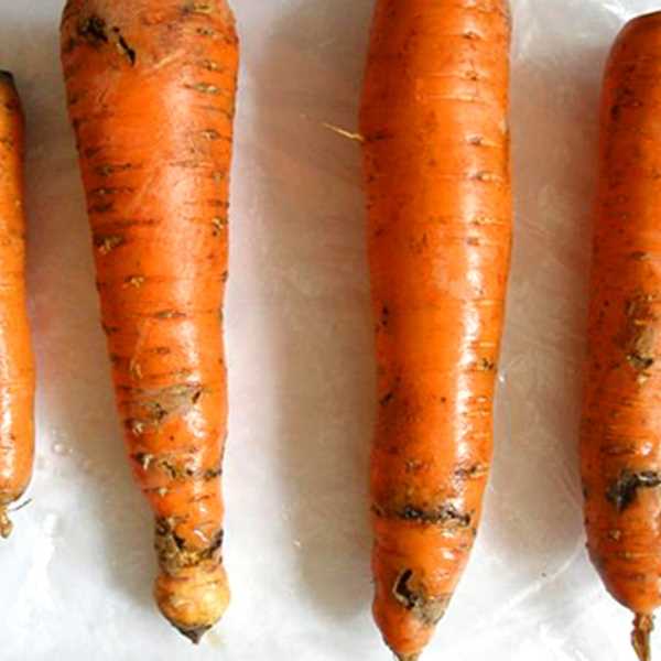 Признаки наличия подъемника моркови