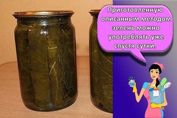 листья винограда для долмы на зиму рецепты в банках без уксуса. c3382f47935d7f87384803e82413e4c0. листья винограда для долмы на зиму рецепты в банках без уксуса фото. листья винограда для долмы на зиму рецепты в банках без уксуса-c3382f47935d7f87384803e82413e4c0. картинка листья винограда для долмы на зиму рецепты в банках без уксуса. картинка c3382f47935d7f87384803e82413e4c0. Виноградные листья для долмы заготовить на зиму в домашних условиях можно при помощи засолки или маринования. Для заготовки допустимо использовать разные способы: в бутылке, банке, по-армянски и проч. Если есть желание, то можете использовать сразу несколько вариантов.