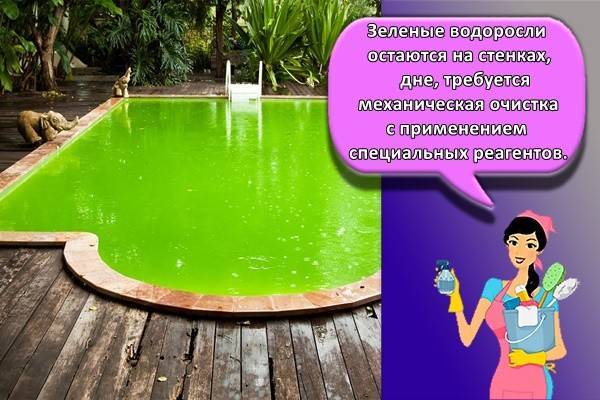 чем пропылесосить дно бассейна. Смотреть фото чем пропылесосить дно бассейна. Смотреть картинку чем пропылесосить дно бассейна. Картинка про чем пропылесосить дно бассейна. Фото чем пропылесосить дно бассейна