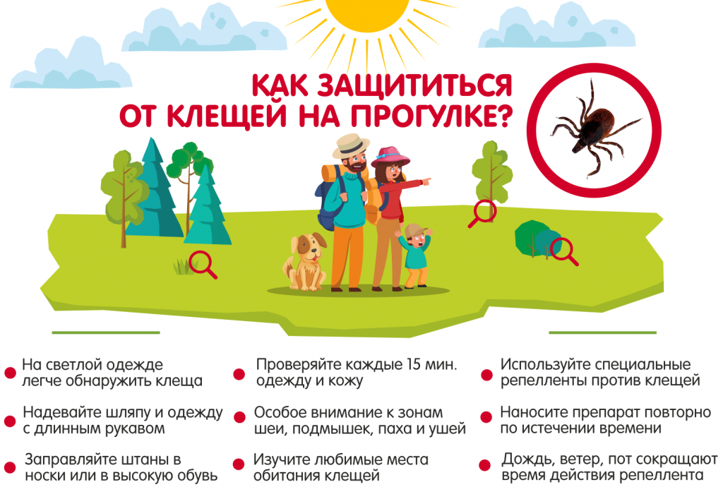 Как обезопасить себя от укусов клещей на прогулках в парках москвы