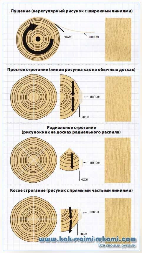 Виды шпона рисунок