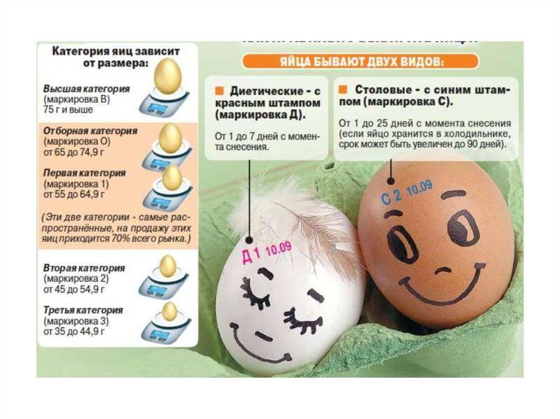 Сколько можно хранить яйца?
