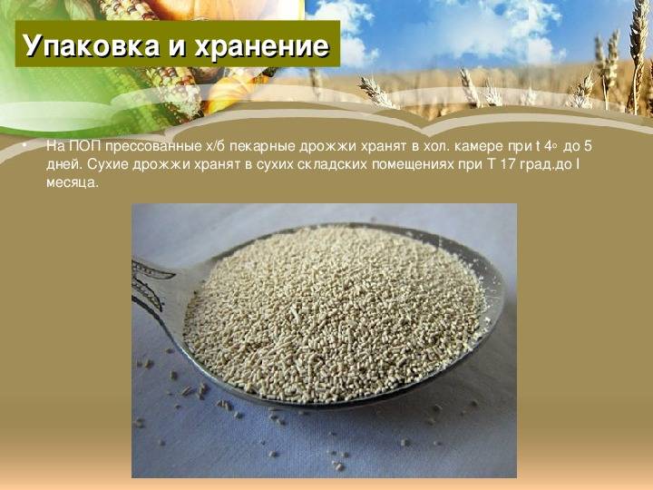 Сколько может хранится дрожжевое тесто в холодильнике?