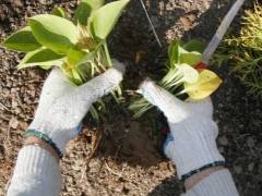 ΠΊΠΎΠ³Π΄Π° ΠΌΠΎΠΆΠ½ΠΎ ΡΠ°ΡΡΠ°Π΄ΠΈΡΡ Ρ
ΠΎΡΡΡ ΠΈ ΠΊΠ°ΠΊ. Π‘ΠΌΠΎΡΡΠ΅ΡΡ ΡΠΎΡΠΎ ΠΊΠΎΠ³Π΄Π° ΠΌΠΎΠΆΠ½ΠΎ ΡΠ°ΡΡΠ°Π΄ΠΈΡΡ Ρ
ΠΎΡΡΡ ΠΈ ΠΊΠ°ΠΊ. Π‘ΠΌΠΎΡΡΠ΅ΡΡ ΠΊΠ°ΡΡΠΈΠ½ΠΊΡ ΠΊΠΎΠ³Π΄Π° ΠΌΠΎΠΆΠ½ΠΎ ΡΠ°ΡΡΠ°Π΄ΠΈΡΡ Ρ
ΠΎΡΡΡ ΠΈ ΠΊΠ°ΠΊ. ΠΠ°ΡΡΠΈΠ½ΠΊΠ° ΠΏΡΠΎ ΠΊΠΎΠ³Π΄Π° ΠΌΠΎΠΆΠ½ΠΎ ΡΠ°ΡΡΠ°Π΄ΠΈΡΡ Ρ
ΠΎΡΡΡ ΠΈ ΠΊΠ°ΠΊ. Π€ΠΎΡΠΎ ΠΊΠΎΠ³Π΄Π° ΠΌΠΎΠΆΠ½ΠΎ ΡΠ°ΡΡΠ°Π΄ΠΈΡΡ Ρ
ΠΎΡΡΡ ΠΈ ΠΊΠ°ΠΊ ΠΊΠΎΠ³Π΄Π° ΠΌΠΎΠΆΠ½ΠΎ ΡΠ°ΡΡΠ°Π΄ΠΈΡΡ Ρ
ΠΎΡΡΡ ΠΈ ΠΊΠ°ΠΊ. Π‘ΠΌΠΎΡΡΠ΅ΡΡ ΡΠΎΡΠΎ ΠΊΠΎΠ³Π΄Π° ΠΌΠΎΠΆΠ½ΠΎ ΡΠ°ΡΡΠ°Π΄ΠΈΡΡ Ρ
ΠΎΡΡΡ ΠΈ ΠΊΠ°ΠΊ. Π‘ΠΌΠΎΡΡΠ΅ΡΡ ΠΊΠ°ΡΡΠΈΠ½ΠΊΡ ΠΊΠΎΠ³Π΄Π° ΠΌΠΎΠΆΠ½ΠΎ ΡΠ°ΡΡΠ°Π΄ΠΈΡΡ Ρ
ΠΎΡΡΡ ΠΈ ΠΊΠ°ΠΊ. ΠΠ°ΡΡΠΈΠ½ΠΊΠ° ΠΏΡΠΎ ΠΊΠΎΠ³Π΄Π° ΠΌΠΎΠΆΠ½ΠΎ ΡΠ°ΡΡΠ°Π΄ΠΈΡΡ Ρ
ΠΎΡΡΡ ΠΈ ΠΊΠ°ΠΊ. Π€ΠΎΡΠΎ ΠΊΠΎΠ³Π΄Π° ΠΌΠΎΠΆΠ½ΠΎ ΡΠ°ΡΡΠ°Π΄ΠΈΡΡ Ρ
ΠΎΡΡΡ ΠΈ ΠΊΠ°ΠΊ