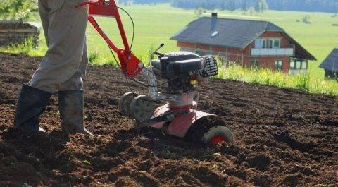 caa3d8208deb9bcd1951b3a7e0994628