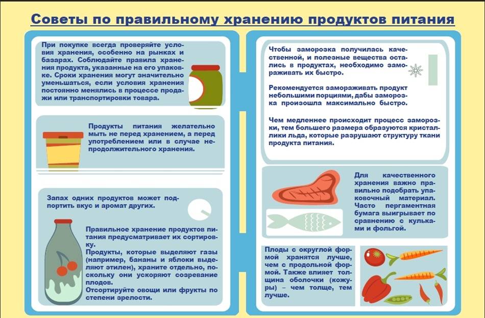 Как сохранить полезные вещества в продуктах при разных способах хранения проект