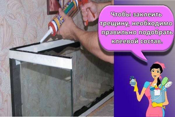 Треснуло стекло в аквариуме что делать. cb5277fd7a7d56a5e72778f7dcc1608e. Треснуло стекло в аквариуме что делать фото. Треснуло стекло в аквариуме что делать-cb5277fd7a7d56a5e72778f7dcc1608e. картинка Треснуло стекло в аквариуме что делать. картинка cb5277fd7a7d56a5e72778f7dcc1608e. Что делать, если в аквариуме появилась течь? Как правильно заклеить трещины, поменять стекло, залатать дно? Способы укрепления стенок стяжками и ребрами жесткости с поэтапным описанием алгоритма действий. Треснуло стекло в аквариуме что делать. cb5277fd7a7d56a5e72778f7dcc1608e. Треснуло стекло в аквариуме что делать фото. Треснуло стекло в аквариуме что делать-cb5277fd7a7d56a5e72778f7dcc1608e. картинка Треснуло стекло в аквариуме что делать. картинка cb5277fd7a7d56a5e72778f7dcc1608e. Что делать, если в аквариуме появилась течь? Как правильно заклеить трещины, поменять стекло, залатать дно? Способы укрепления стенок стяжками и ребрами жесткости с поэтапным описанием алгоритма действий.