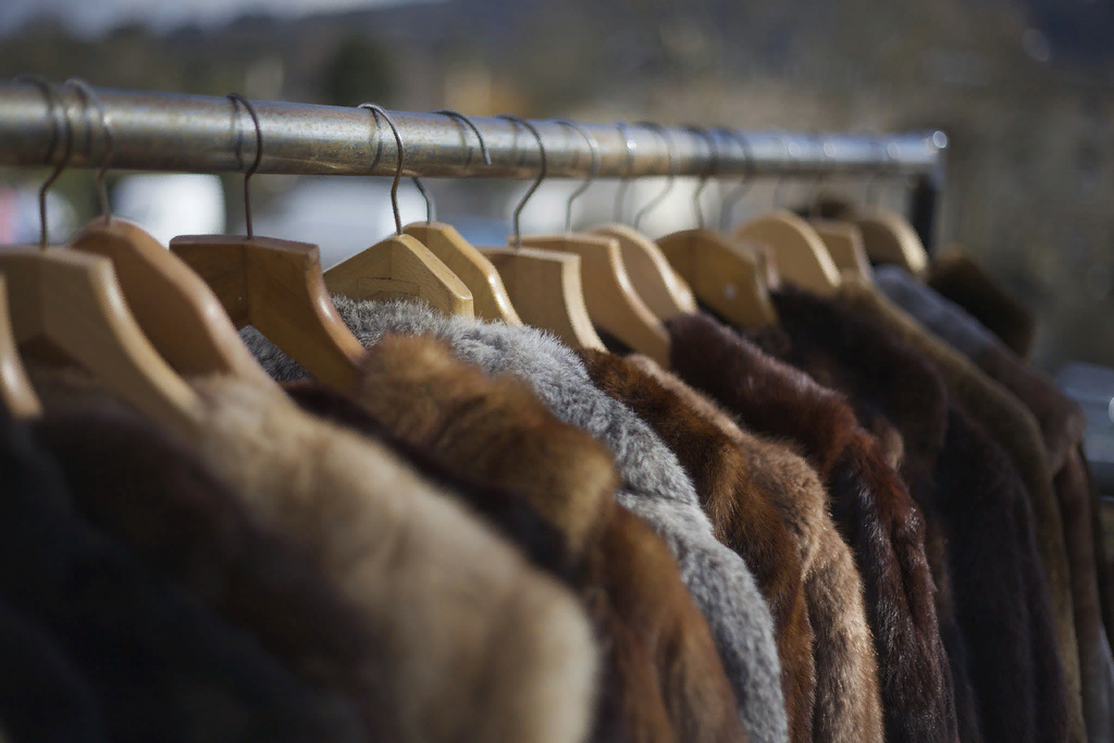 ce14c4d9e8e5682eb1ddcea6e3291927 Можно сушить норковую шубу на солнце