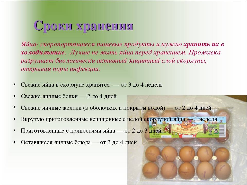 Cрок годности яиц: сколько хранятся куриные, перепелиные домашние яйца, как можно беречь сырые, вареные при комнатной температуре?
