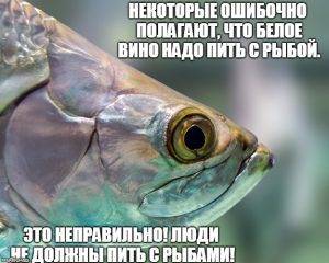Сколько может храниться замороженная клубника. d54b6be331f15ddc96898ca6668bf16a. Сколько может храниться замороженная клубника фото. Сколько может храниться замороженная клубника-d54b6be331f15ddc96898ca6668bf16a. картинка Сколько может храниться замороженная клубника. картинка d54b6be331f15ddc96898ca6668bf16a. Свежие ягоды являются источником витаминов, минералов, поэтому их рекомендуют добавлять в свой рацион. Полезные дары природы положительно влияют на организм человека: укрепляют сердце, сосуды, иммунную систему, оказывают антиоксидантное действие. Их используют в пищу, добавляют в десерты, выпечку. Плоды становятся источником витаминов зимой, если их правильно сохранить. Узнаем, сколько могут храниться замороженные ягоды в морозильной камере.