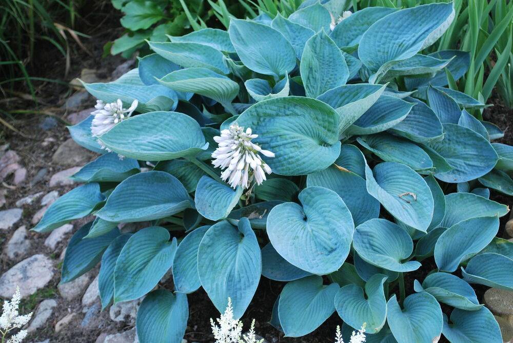 ΠΊΠΎΠ³Π΄Π° ΠΌΠΎΠΆΠ½ΠΎ ΡΠ°ΡΡΠ°Π΄ΠΈΡΡ Ρ
ΠΎΡΡΡ ΠΈ ΠΊΠ°ΠΊ. Π‘ΠΌΠΎΡΡΠ΅ΡΡ ΡΠΎΡΠΎ ΠΊΠΎΠ³Π΄Π° ΠΌΠΎΠΆΠ½ΠΎ ΡΠ°ΡΡΠ°Π΄ΠΈΡΡ Ρ
ΠΎΡΡΡ ΠΈ ΠΊΠ°ΠΊ. Π‘ΠΌΠΎΡΡΠ΅ΡΡ ΠΊΠ°ΡΡΠΈΠ½ΠΊΡ ΠΊΠΎΠ³Π΄Π° ΠΌΠΎΠΆΠ½ΠΎ ΡΠ°ΡΡΠ°Π΄ΠΈΡΡ Ρ
ΠΎΡΡΡ ΠΈ ΠΊΠ°ΠΊ. ΠΠ°ΡΡΠΈΠ½ΠΊΠ° ΠΏΡΠΎ ΠΊΠΎΠ³Π΄Π° ΠΌΠΎΠΆΠ½ΠΎ ΡΠ°ΡΡΠ°Π΄ΠΈΡΡ Ρ
ΠΎΡΡΡ ΠΈ ΠΊΠ°ΠΊ. Π€ΠΎΡΠΎ ΠΊΠΎΠ³Π΄Π° ΠΌΠΎΠΆΠ½ΠΎ ΡΠ°ΡΡΠ°Π΄ΠΈΡΡ Ρ
ΠΎΡΡΡ ΠΈ ΠΊΠ°ΠΊ ΠΊΠΎΠ³Π΄Π° ΠΌΠΎΠΆΠ½ΠΎ ΡΠ°ΡΡΠ°Π΄ΠΈΡΡ Ρ
ΠΎΡΡΡ ΠΈ ΠΊΠ°ΠΊ. Π‘ΠΌΠΎΡΡΠ΅ΡΡ ΡΠΎΡΠΎ ΠΊΠΎΠ³Π΄Π° ΠΌΠΎΠΆΠ½ΠΎ ΡΠ°ΡΡΠ°Π΄ΠΈΡΡ Ρ
ΠΎΡΡΡ ΠΈ ΠΊΠ°ΠΊ. Π‘ΠΌΠΎΡΡΠ΅ΡΡ ΠΊΠ°ΡΡΠΈΠ½ΠΊΡ ΠΊΠΎΠ³Π΄Π° ΠΌΠΎΠΆΠ½ΠΎ ΡΠ°ΡΡΠ°Π΄ΠΈΡΡ Ρ
ΠΎΡΡΡ ΠΈ ΠΊΠ°ΠΊ. ΠΠ°ΡΡΠΈΠ½ΠΊΠ° ΠΏΡΠΎ ΠΊΠΎΠ³Π΄Π° ΠΌΠΎΠΆΠ½ΠΎ ΡΠ°ΡΡΠ°Π΄ΠΈΡΡ Ρ
ΠΎΡΡΡ ΠΈ ΠΊΠ°ΠΊ. Π€ΠΎΡΠΎ ΠΊΠΎΠ³Π΄Π° ΠΌΠΎΠΆΠ½ΠΎ ΡΠ°ΡΡΠ°Π΄ΠΈΡΡ Ρ
ΠΎΡΡΡ ΠΈ ΠΊΠ°ΠΊ