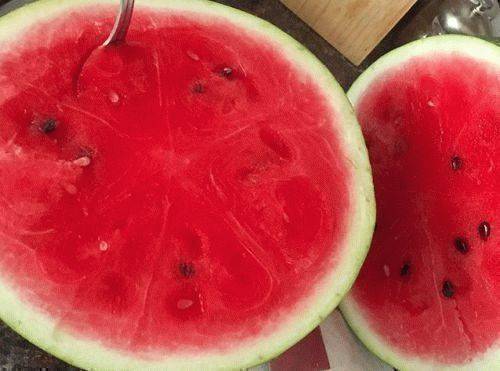 арбуз бедуин f1. как вывести арбузы. как вывести арбузы. кримсон арбус. сладкий арбуз.