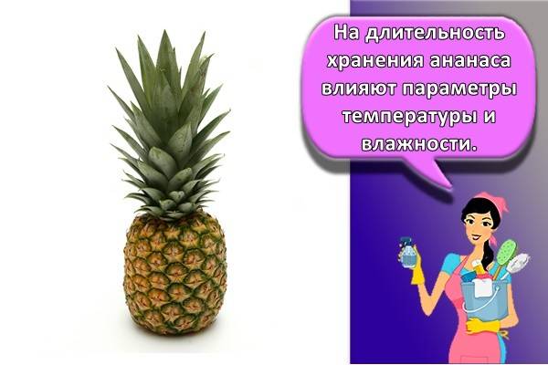 Как Сохранить Ананасы До Нового Года Как Сохранить Ананасы До Нового Года