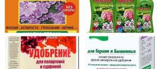 Чем подкормить герань чтобы листья не желтели листья. Смотреть фото Чем подкормить герань чтобы листья не желтели листья. Смотреть картинку Чем подкормить герань чтобы листья не желтели листья. Картинка про Чем подкормить герань чтобы листья не желтели листья. Фото Чем подкормить герань чтобы листья не желтели листья