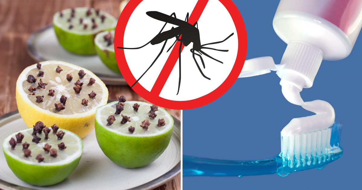 Самые эффективные средства от комаров