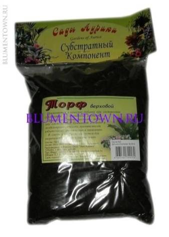 выращивать пионы в квартире. Смотреть фото выращивать пионы в квартире. Смотреть картинку выращивать пионы в квартире. Картинка про выращивать пионы в квартире. Фото выращивать пионы в квартире
