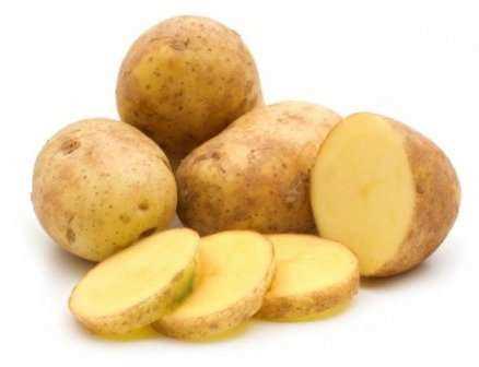 Рекомендации по выбору и покупке семян картофеля Гала