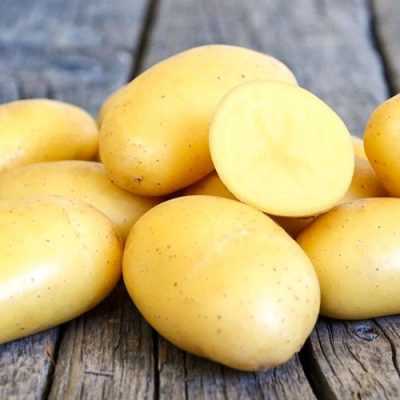 Подготовка почвы и посадка картофеля «Ривьера»