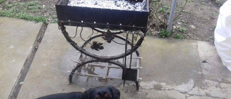 Мангал и собака