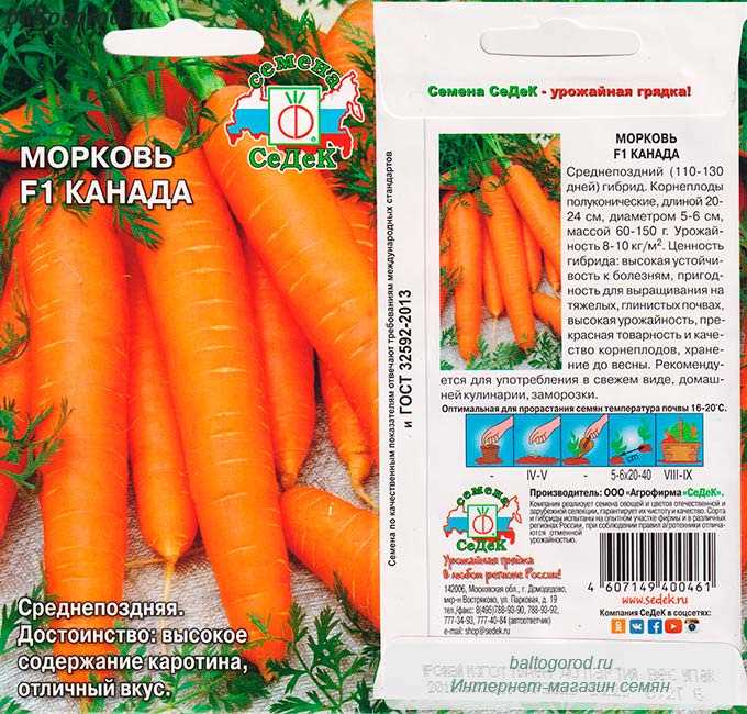 Особенности урожая Моркови Канада