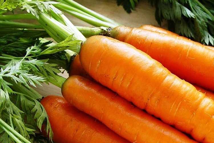 Описание сорта моркови Нантская: основные характеристики и внешний вид