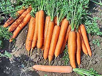 2. Морковный салат с грецкими орехами